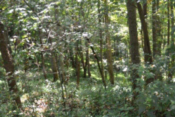 2121 RILEY CREEK RD, WHITLEYVILLE, TN 38588 - Image a0d27fe46a0fc0c7ea8d01fd1f53892e/3300476435
