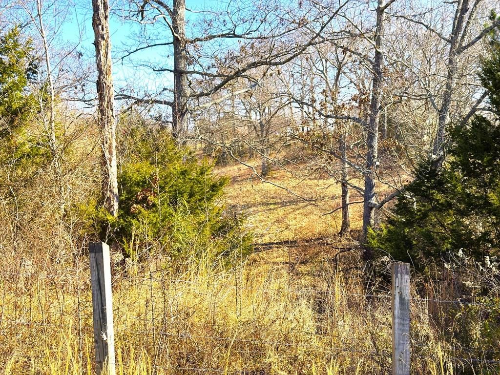 4210 Bunker Hill Rd - Photo 2
