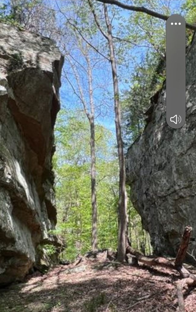 95.43 Sheep Bluff Road - Photo 3