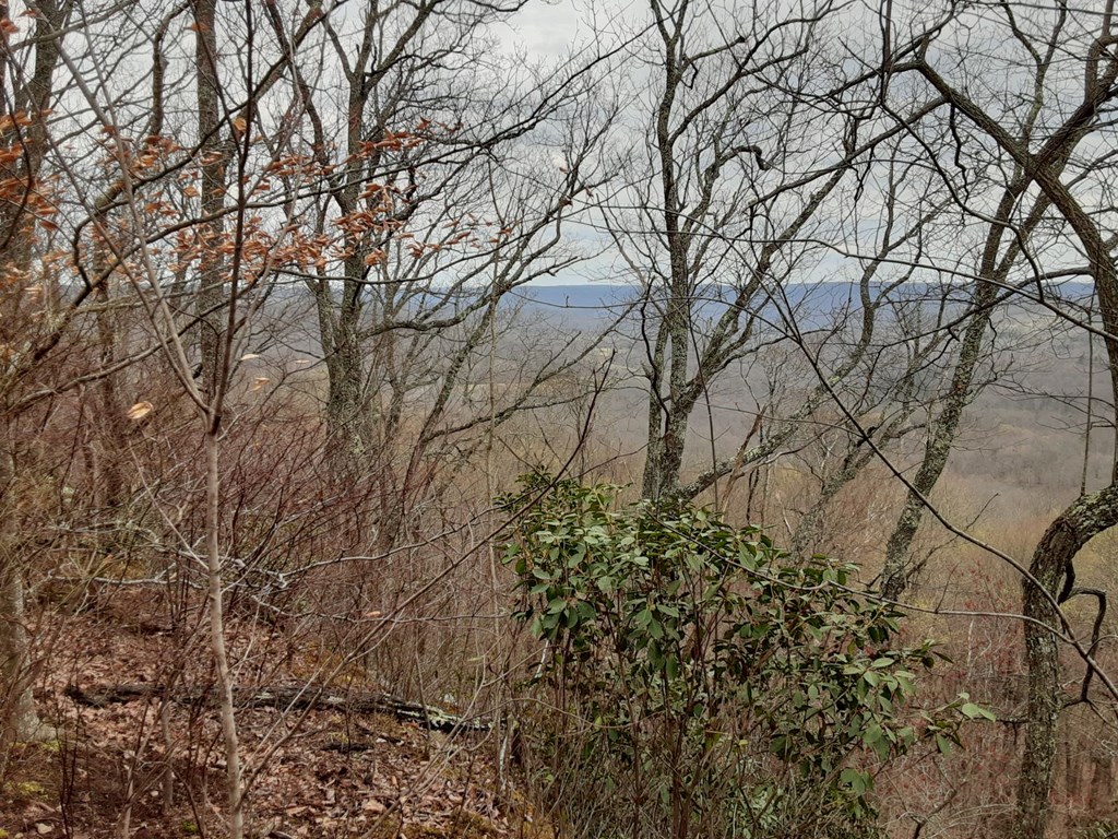 95.43 Sheep Bluff Road - Photo 4