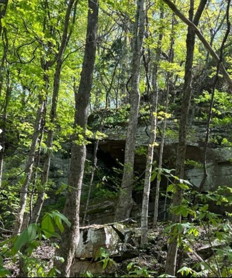 95.43 Sheep Bluff Road - Photo 2