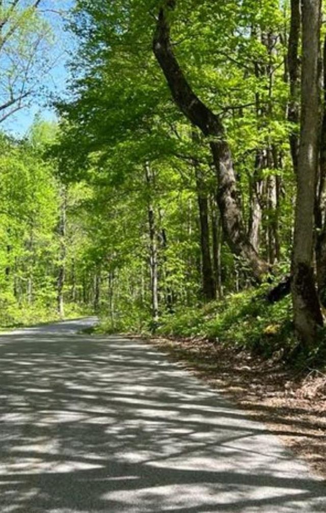 95.43 Sheep Bluff Road