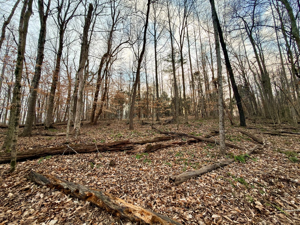 5480 Eastport Rd - Photo 4