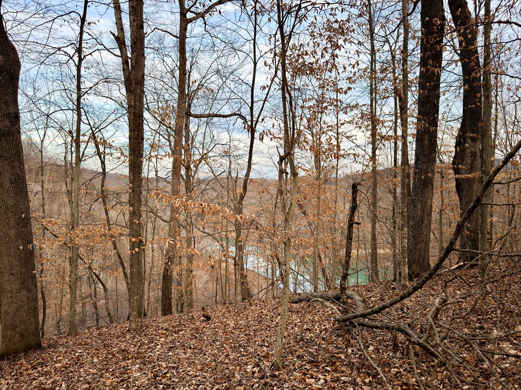 5480 Eastport Rd - Photo 3