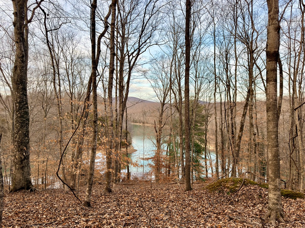 5480 Eastport Rd - Photo 2