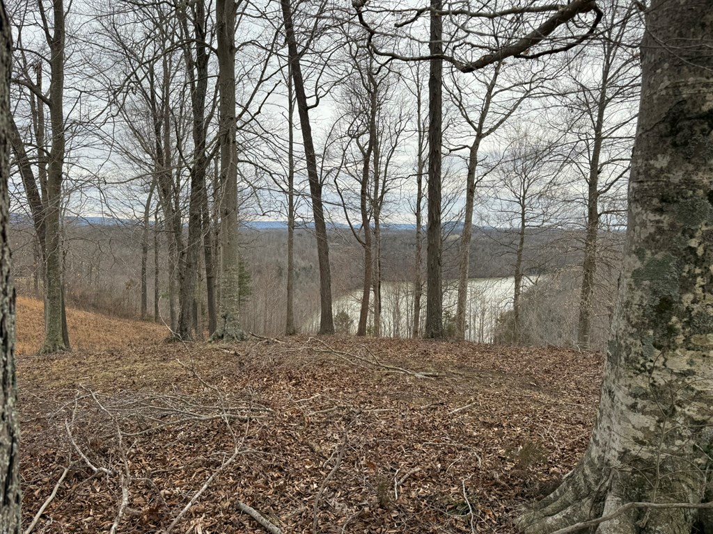 Lot 7 Amonett Circle