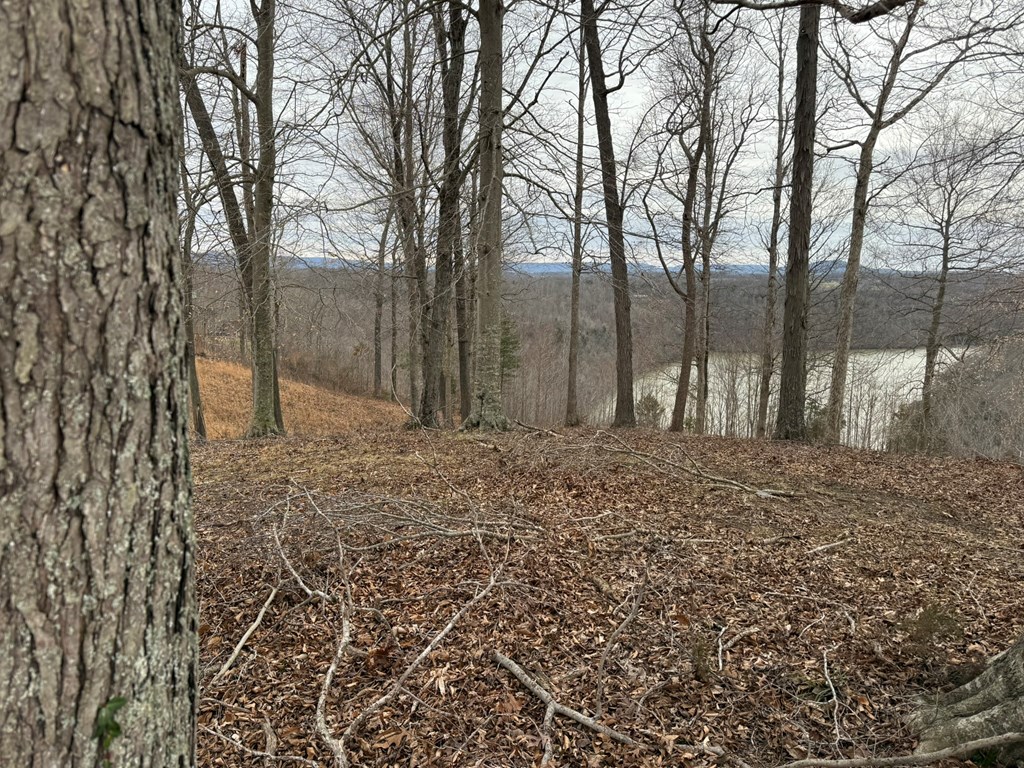 Lot 7 Amonett Circle