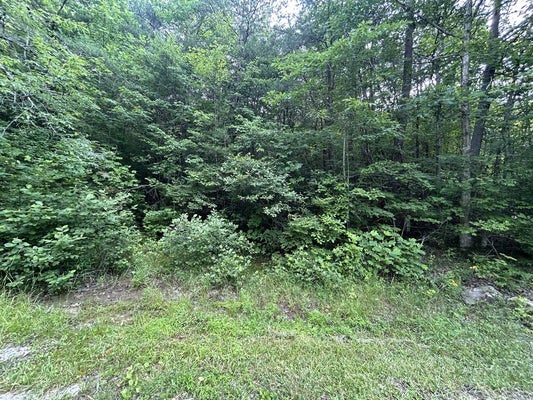 NORTH RD, BYRDSTOWN, TN 38549 - Image ae06f447dc5b019fefb5ae497f3c6cf3/3993504657