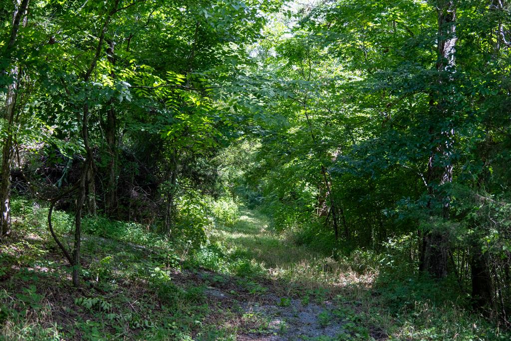 5.03 Hopkins Hollow Rd.