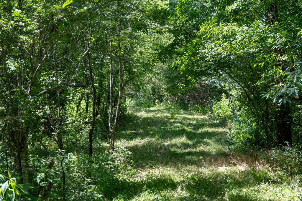 5.03 Hopkins Hollow Rd.