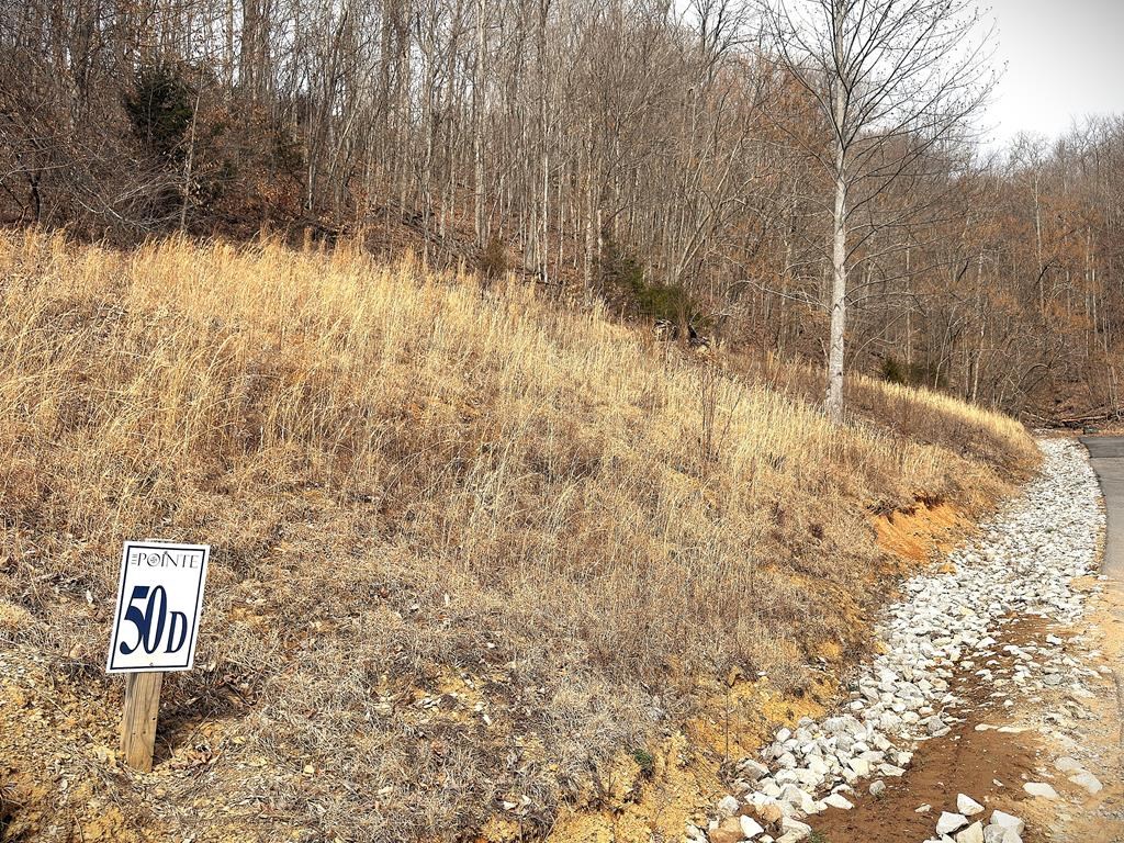 50 D Crappie Lane - Photo 4