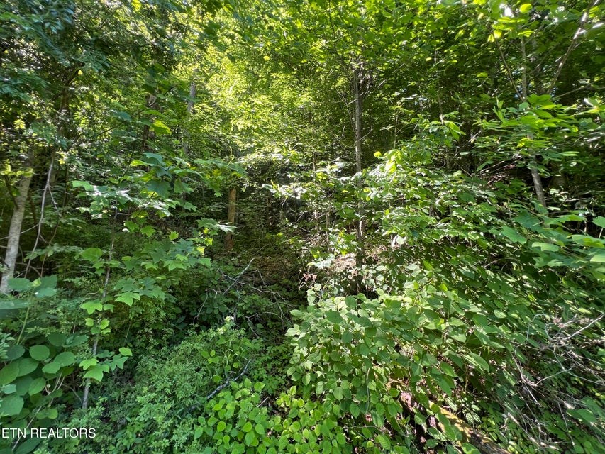 Lot 8 Apache Rd