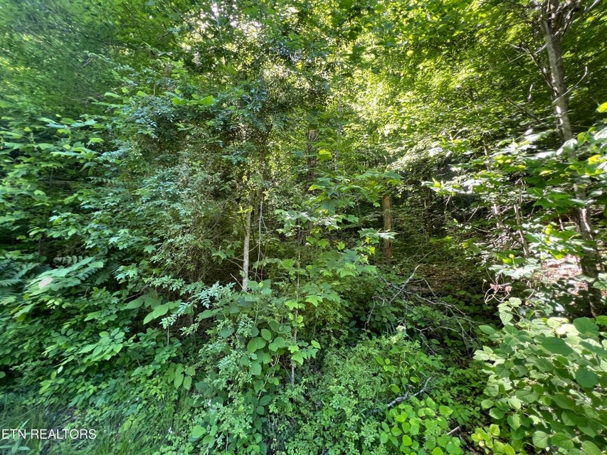 Lot 8 Apache Rd