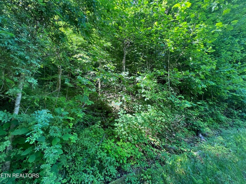 Lot 8 Apache Rd