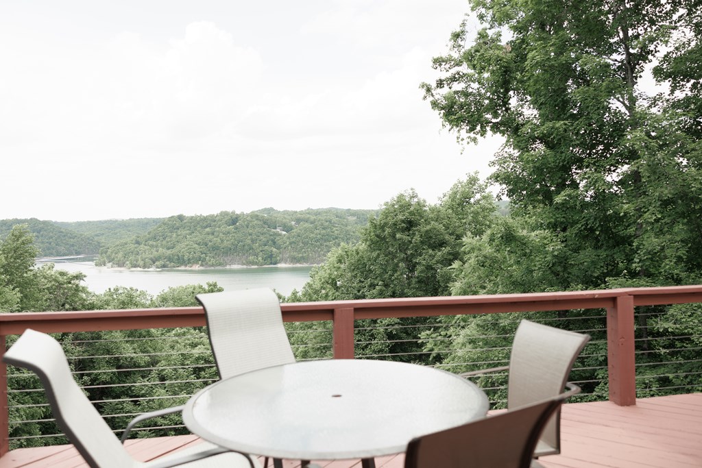 1063 Dale Hollow Estates Rd - Photo 4