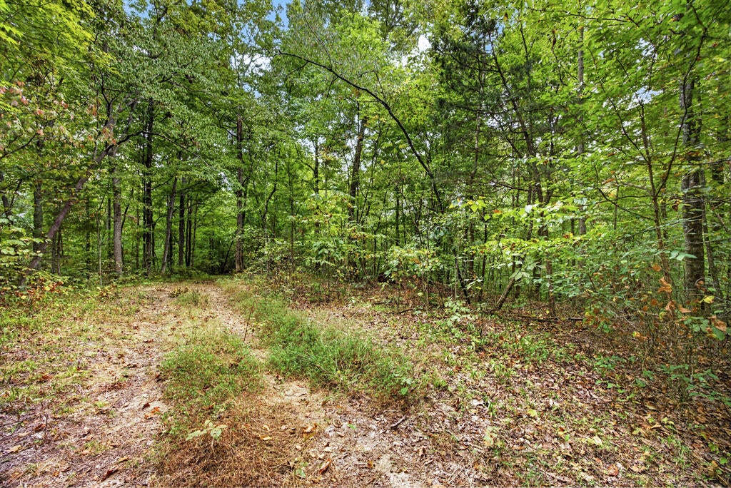Lot 23 Timber Ridge Lane- Phase Ii