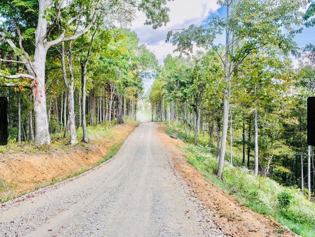 LOT 51 Summerfield
