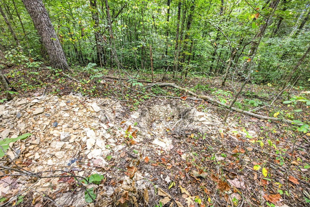 Lot 24 Timber Ridge Lane- Phase Ii