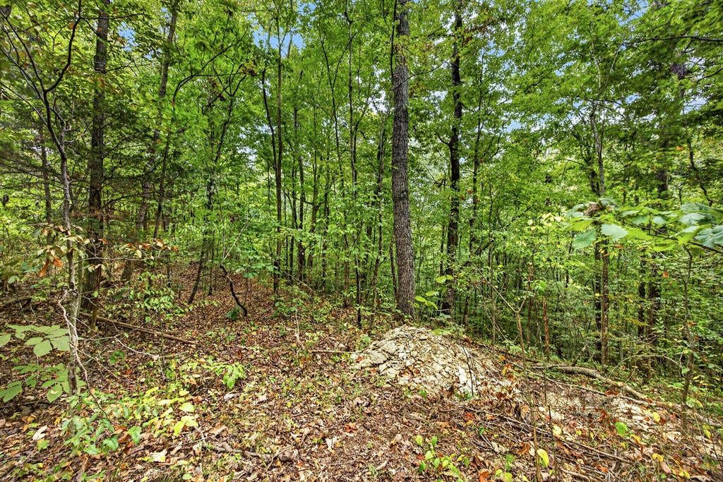 Lot 24 Timber Ridge Lane- Phase Ii