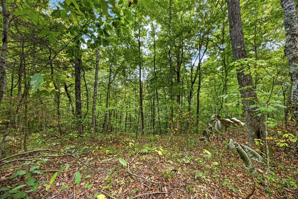Lot 24 Timber Ridge Lane- Phase Ii