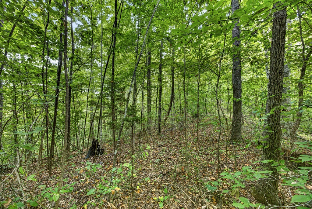 Lot 31 Timber Ridge Lane- Phase Ii