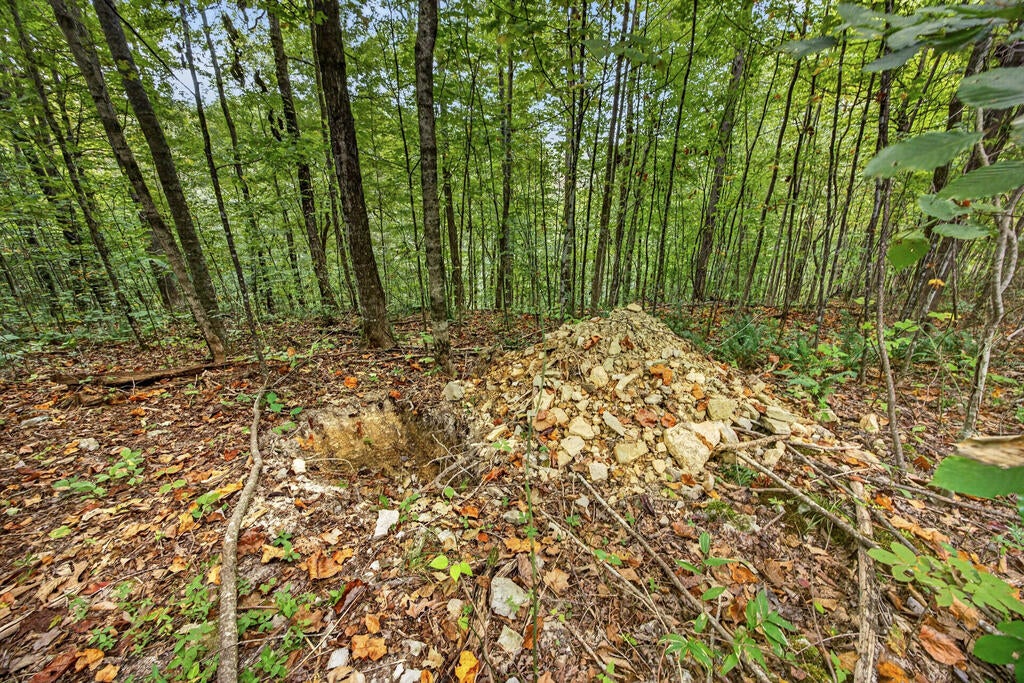 Lot 31 Timber Ridge Lane- Phase Ii