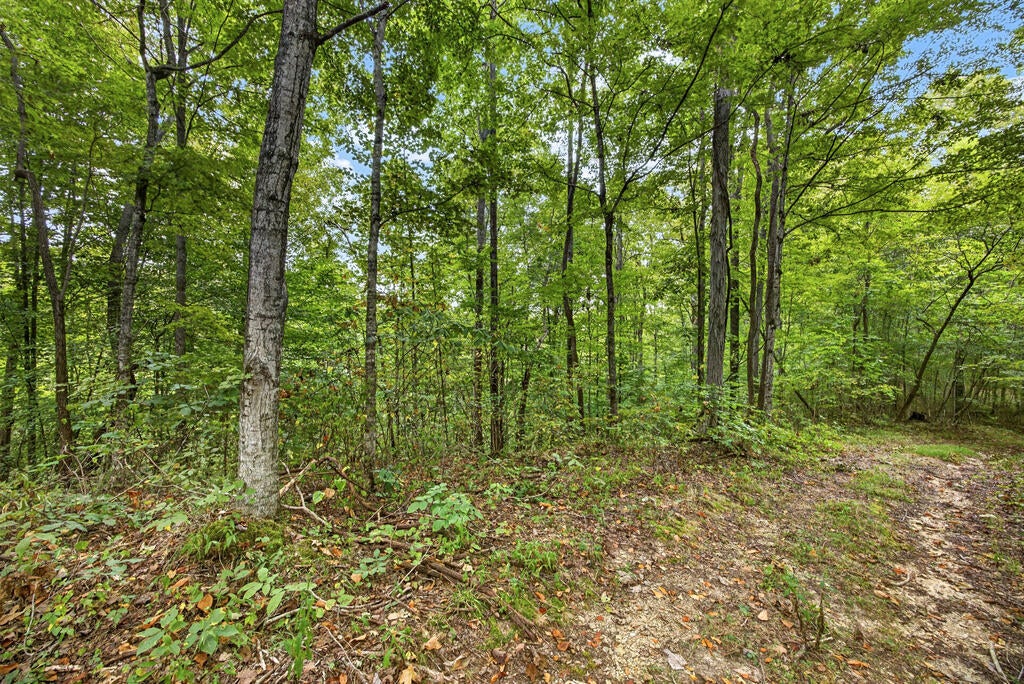 Lot 31 Timber Ridge Lane- Phase Ii
