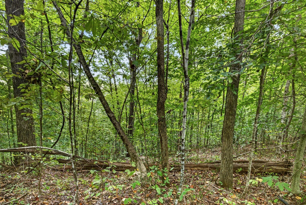 Lot 31 Timber Ridge Lane- Phase Ii