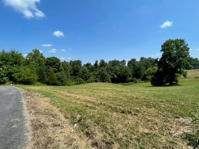 77-78 Holly Bend Dr - Photo 2