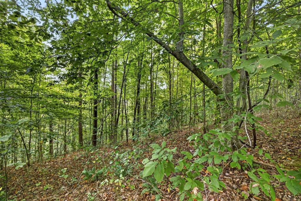 Lot 30 Timber Ridge Lane- Phase Ii
