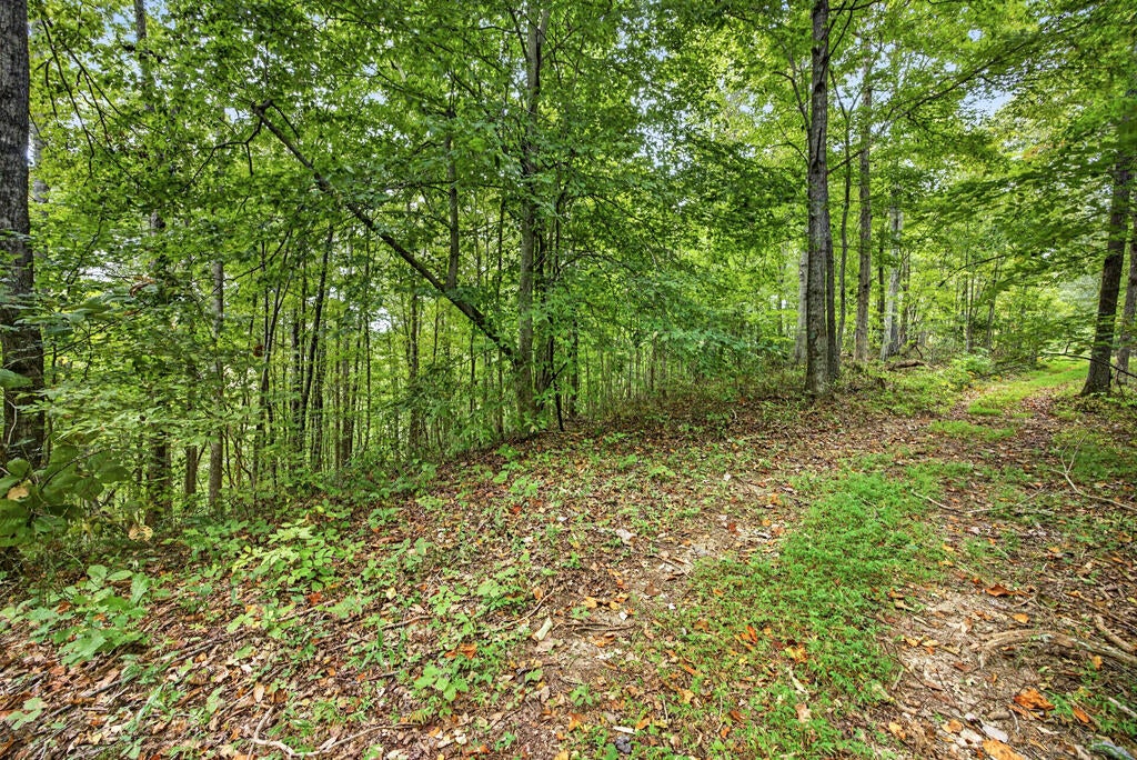 Lot 30 Timber Ridge Lane- Phase Ii