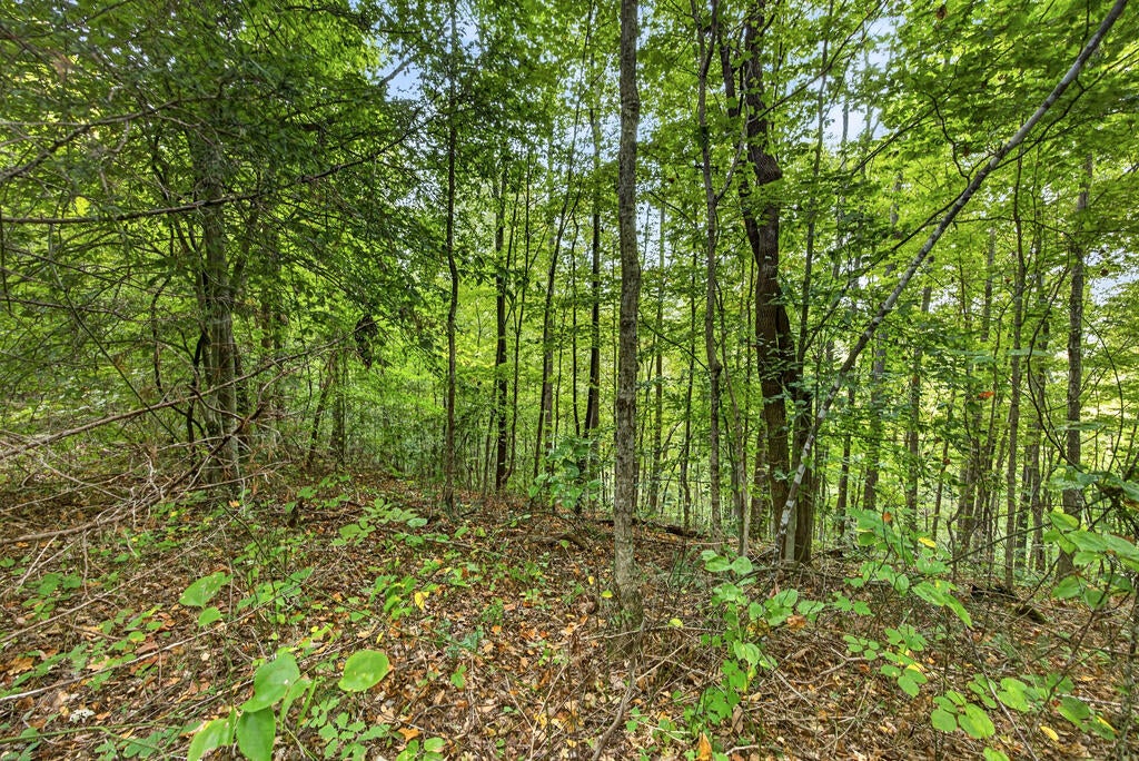 Lot 30 Timber Ridge Lane- Phase Ii