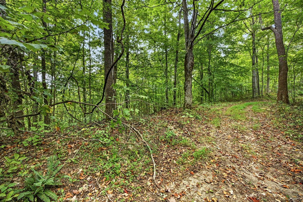 Lot 30 Timber Ridge Lane- Phase Ii