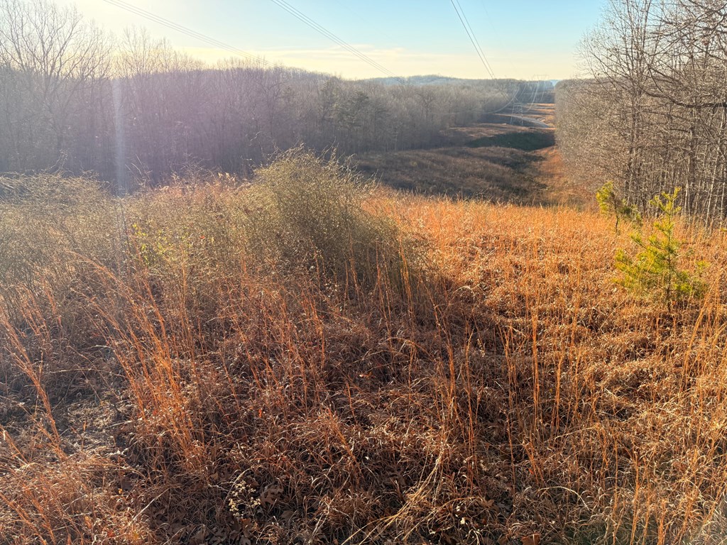 2156 Street Place Loop