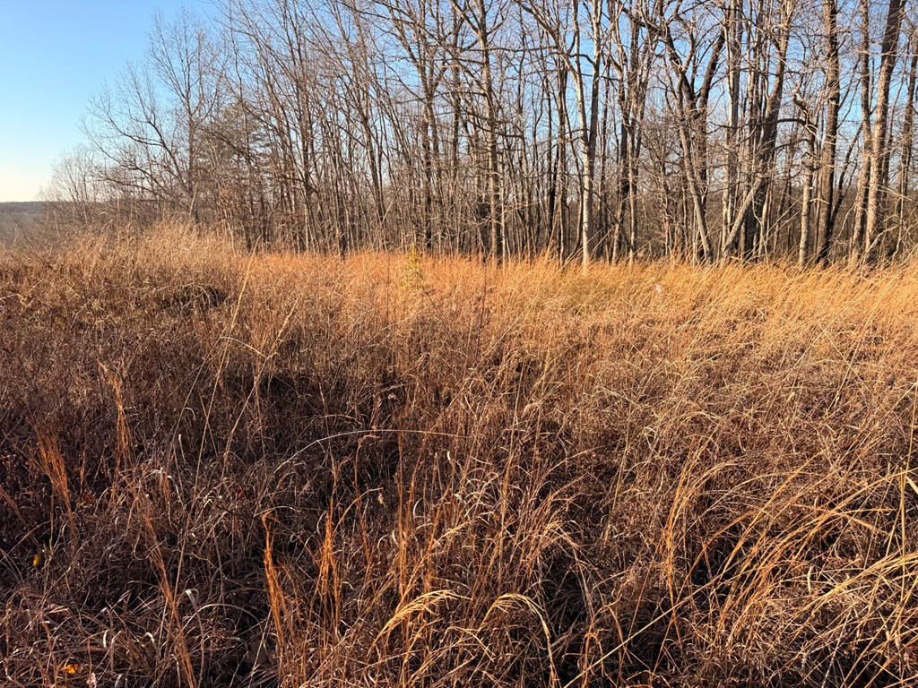 2156 Street Place Loop