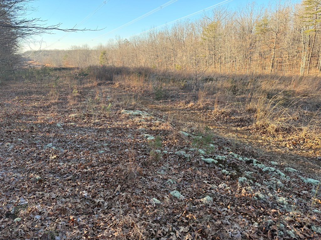 2156 Street Place Loop