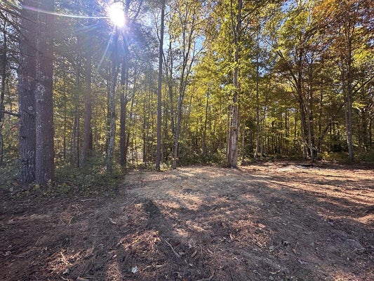 104 CAVE BRANCH RD, ALLARDT, TN 38504 - Image c8497c0b3f9ac5ccfb4206e4e2511677/3580094193