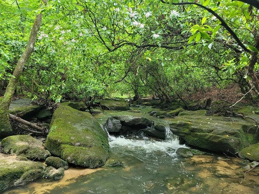 911 SPEARHEAD CIR, CLARKRANGE, TN 38553 - Image ca152a59a4e47401275246aa3a67338e/4247459440