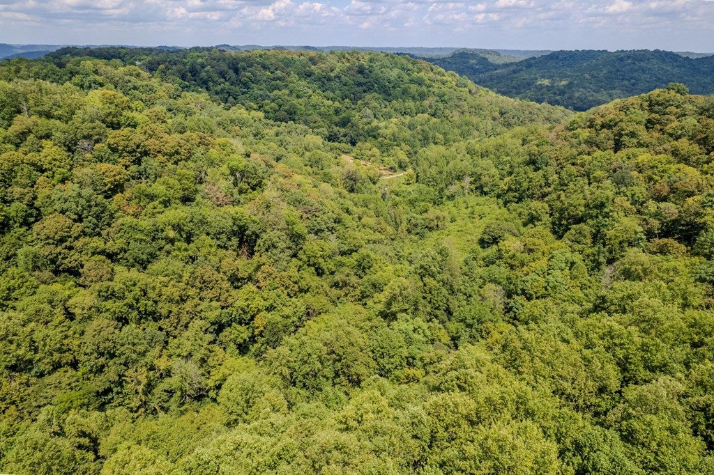 53.19AC Watts Hollow Rd