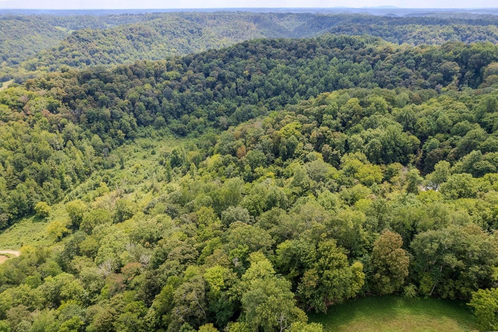 53.19AC Watts Hollow Rd