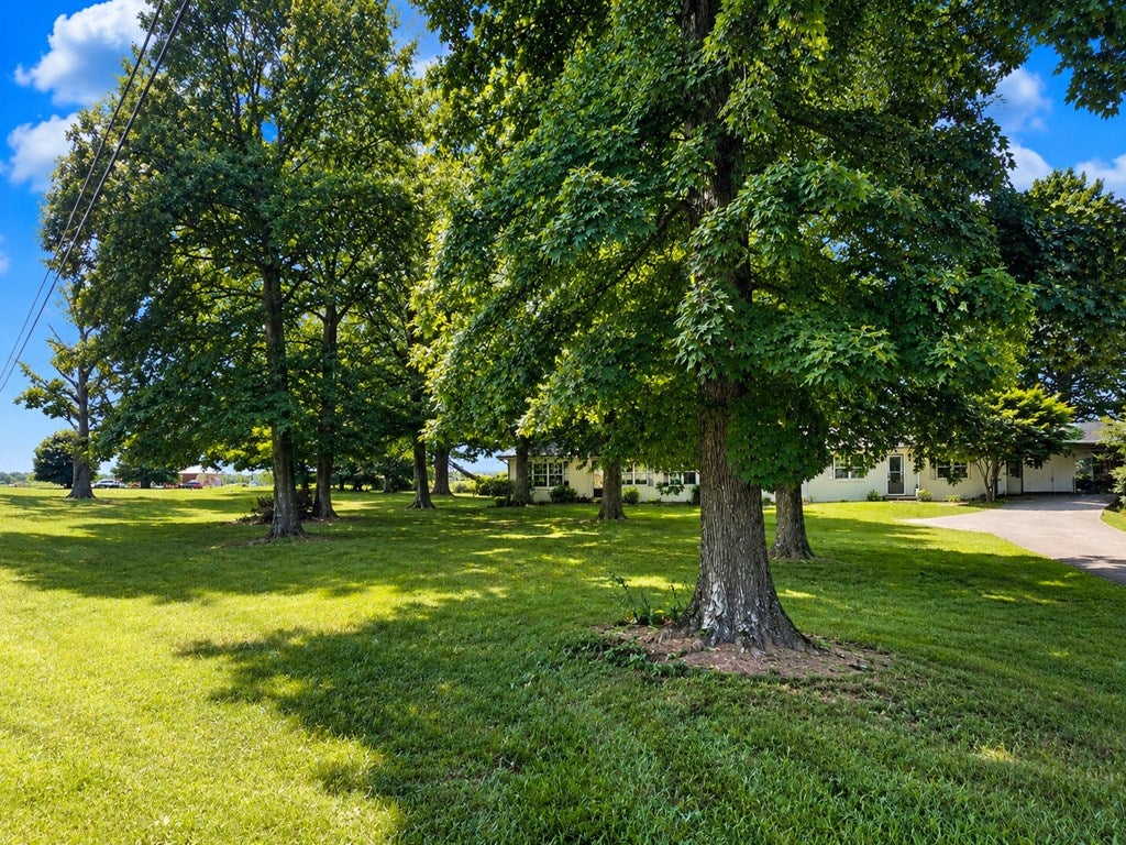 9241 Clay County Hwy - Photo 4