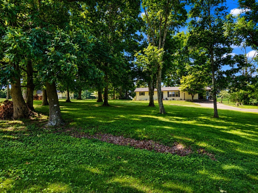 9241 Clay County Hwy - Photo 3