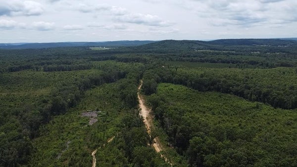 PRATER RD, PIKEVILLE, TN 37367 - Image d6d8a9e8d54f6c9ed4f76992abc81eaf/2977523842