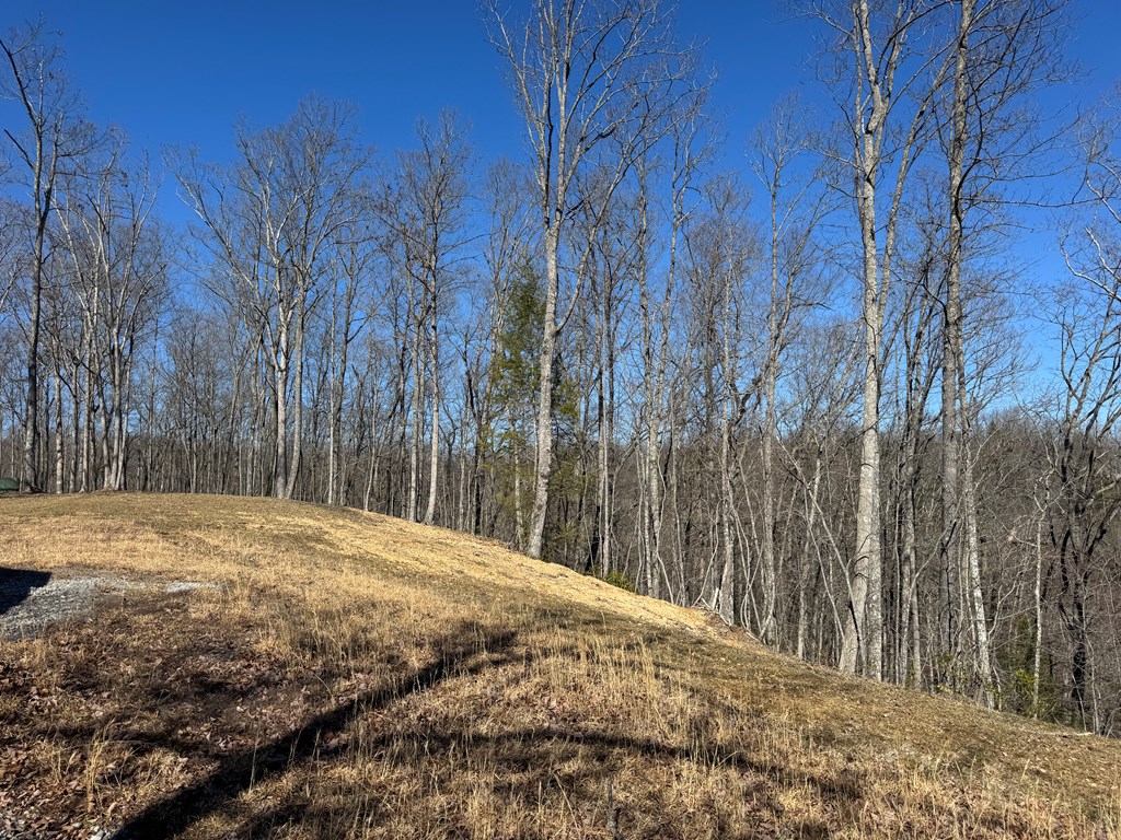 55300 Maynard Ridge Ln.