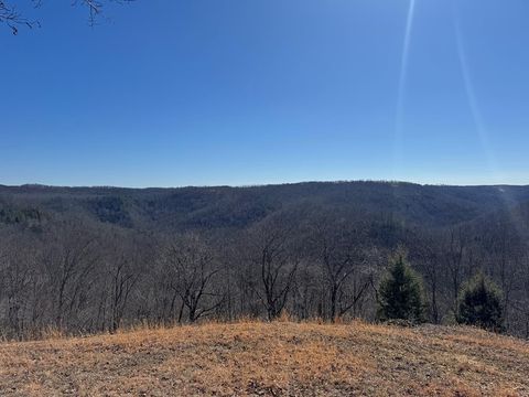 55300 Maynard Ridge Ln. Crawford TN 38554