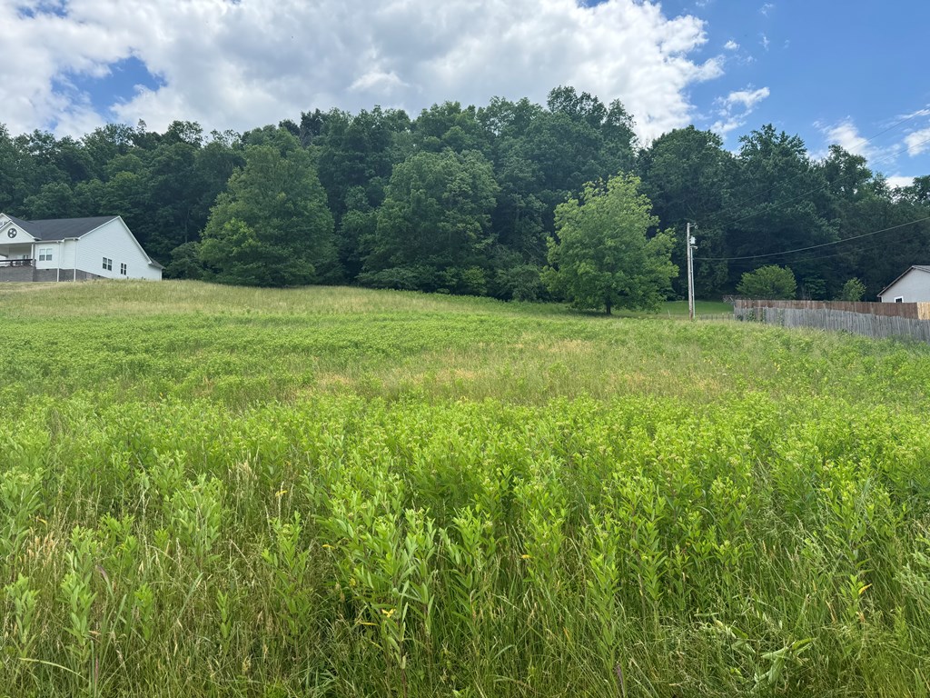 0 Lebanon Hwy