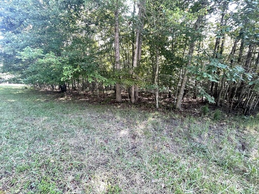 ADDRESS PRIVATE, SPENCER, TN 38585 - Image df47315e9eaa1ffdf28a9e75dba147e4/2528694204