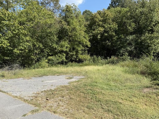 325 W GIPSON AVE, GAINESBORO, TN 38562 - Image dfcd58f93b52cc348b7d732a587f0e47/373796411