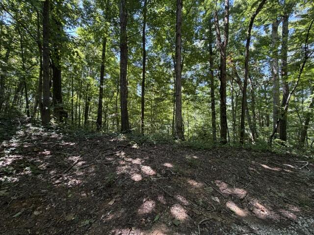 16.25 AC Jimmy Reneau Rd