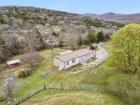 47 Riddleton Cr. Riddleton TN 37151